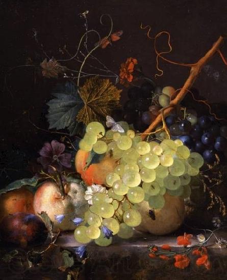 Jan van Huijsum of grapes and a peach on a table top Norge oil painting art
